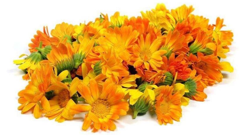 Extrait de calendula dans zxcvbnqwert